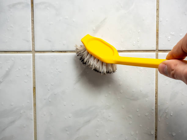 Best Best Mold Removal Companies  in Weatherford, TX