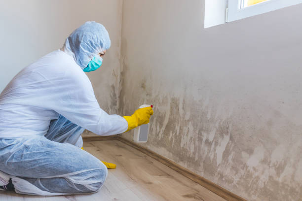 Certified Mold Removal in Weatherford, TX