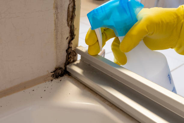 Best Mold Cleaning Services  in Weatherford, TX