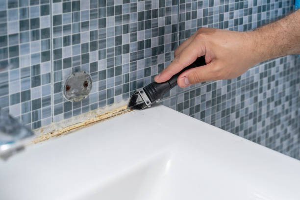 Best Mold Removal and Inspection  in Weatherford, TX