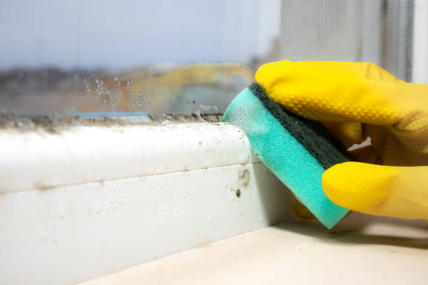 Best Residential Mold Removal  in Weatherford, TX