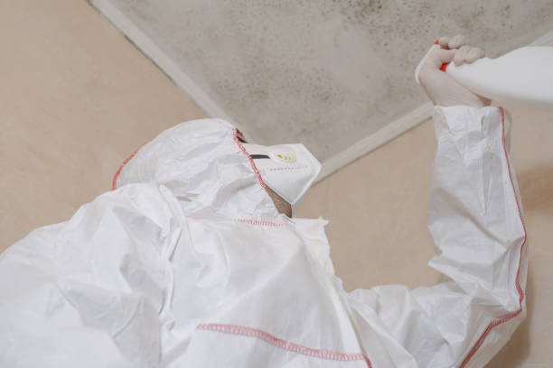 Best Toxic Mold Removal  in Weatherford, TX