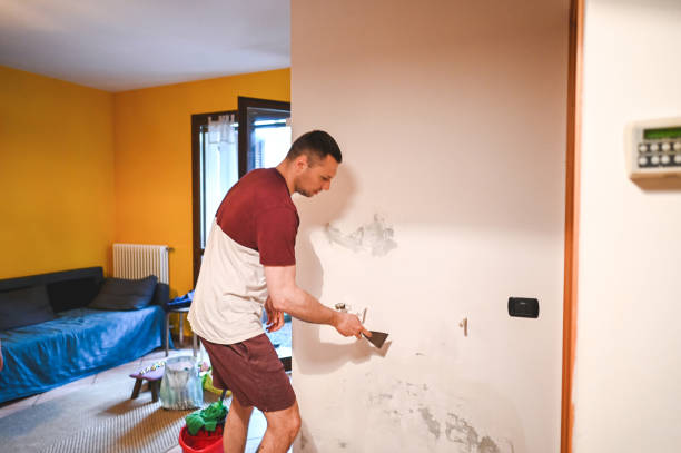 Best Home Mold Removal  in Weatherford, TX