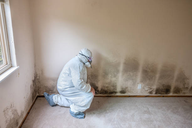 Best Mold Testing  in Weatherford, TX